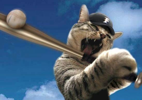 野球猫